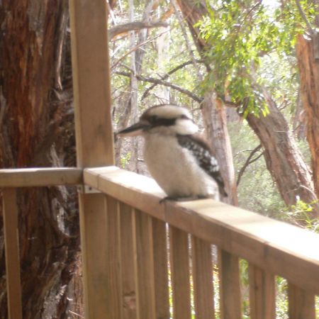 The Ledge Holiday House Halls Gap Exterior photo
